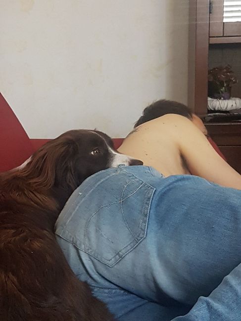 La vostra foto più divertente! 📸 - 1