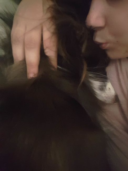Giornata mondiale del bacio: condividete i baci con la vostra metà - 1