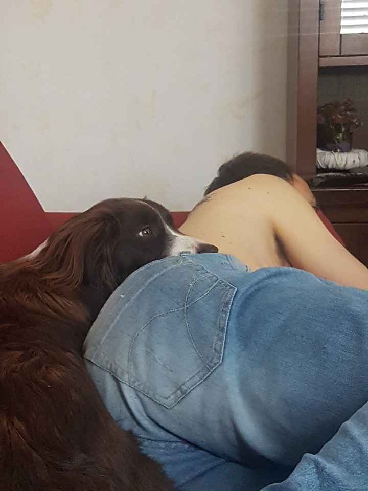 La vostra foto più divertente! 📸 - 1