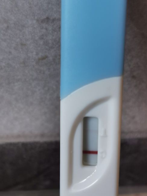 Chi non le aspetta per Marzo 2020 - 1