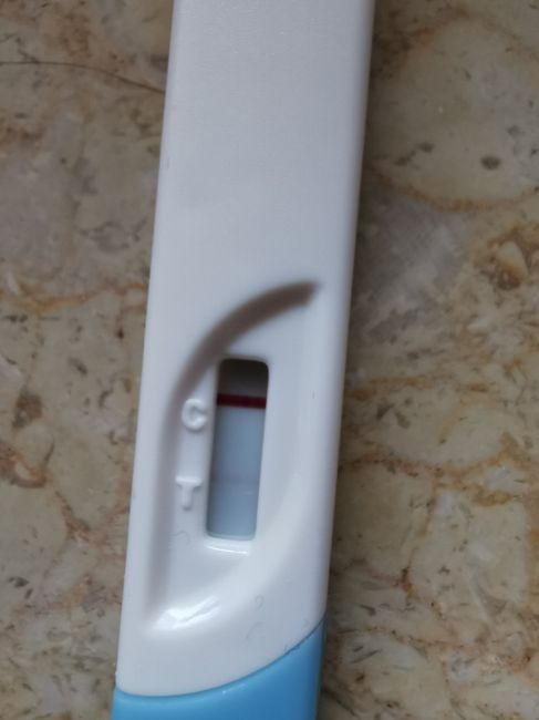 Chi non le aspetta per Marzo 2020 - 2