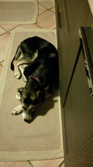 Siamo chico e cuba - 1