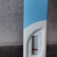 Chi non le aspetta per Marzo 2020 - 1