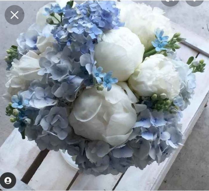 Buonasera a tutte, 1