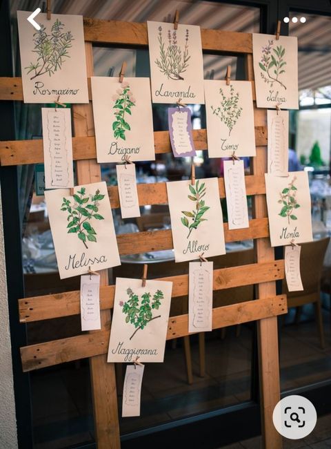 Tema erbe aromatiche fai da te 1