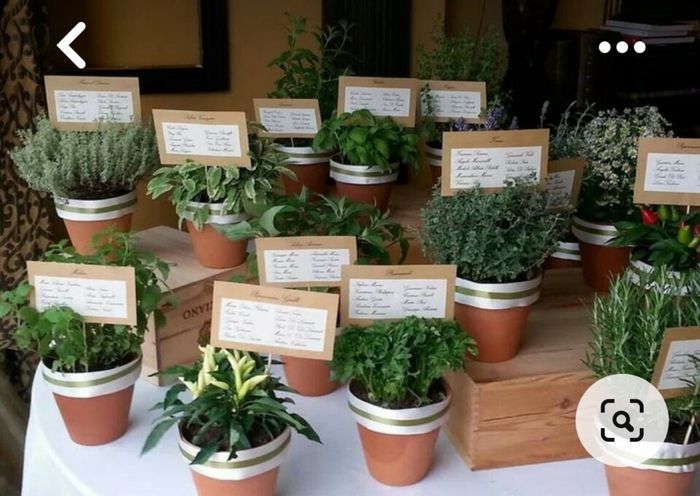 Tema erbe aromatiche fai da te 3