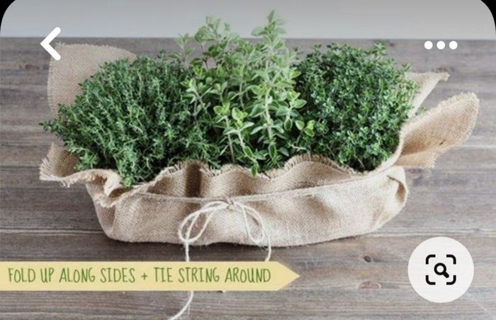 Tema erbe aromatiche fai da te 8