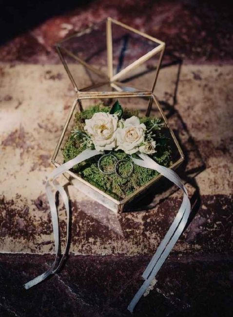 In cerca di ispirazione 6