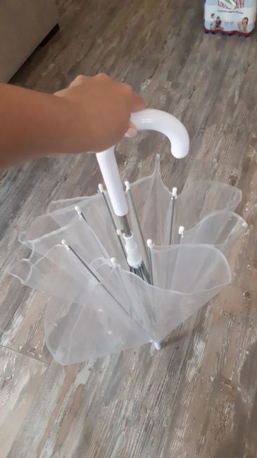 Chi si è sposata con la pioggia? - 1
