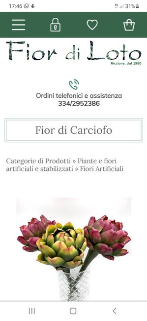 Problemino Bouquet 2