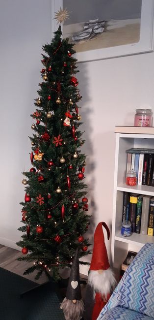 Chi ha già addobbato l'albero di Natale? 🎄🎄🎄 1