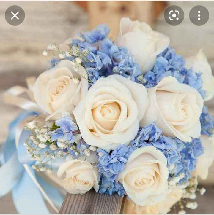 Buonasera a tutte, - 3