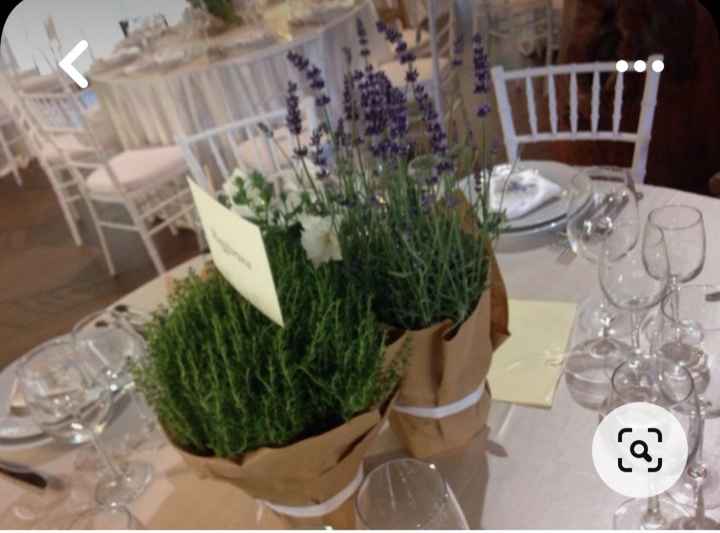 Tema erbe aromatiche fai da te - 6