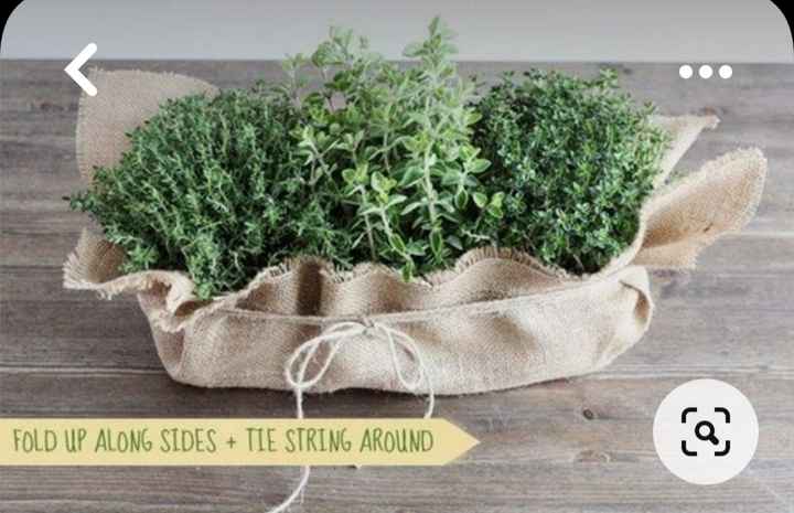 Tema erbe aromatiche fai da te - 8