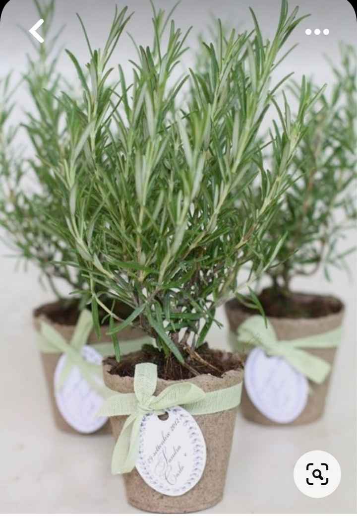 Tema erbe aromatiche fai da te - 11