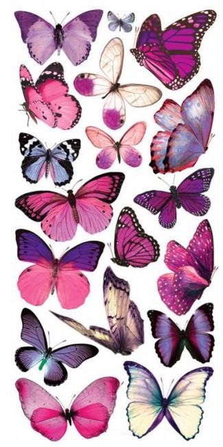 Tema tableau max pezzali - 2