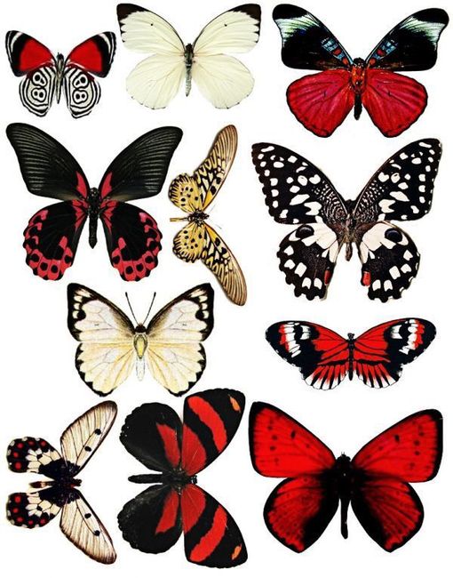 Tema tableau max pezzali - 3