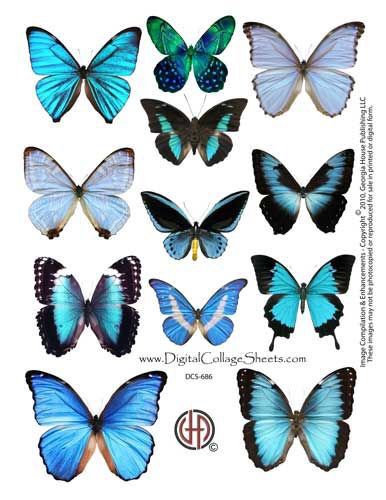 Tema tableau max pezzali - 7