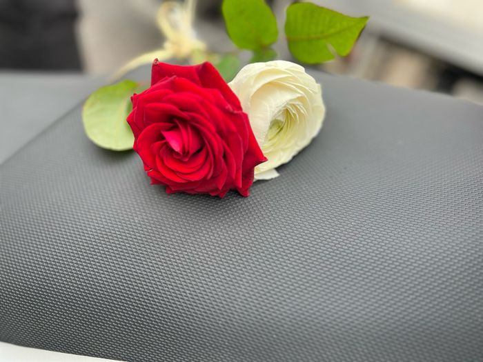 In che mese vi direte il Grande Sì? 📅 1