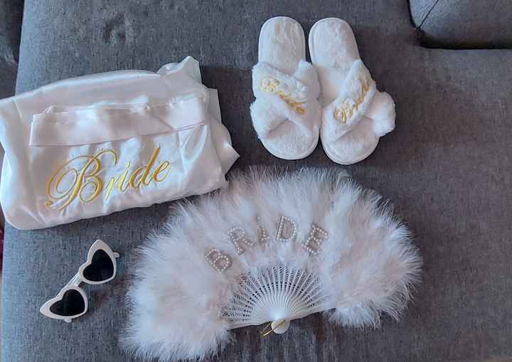 Vestaglia preparativi - 1