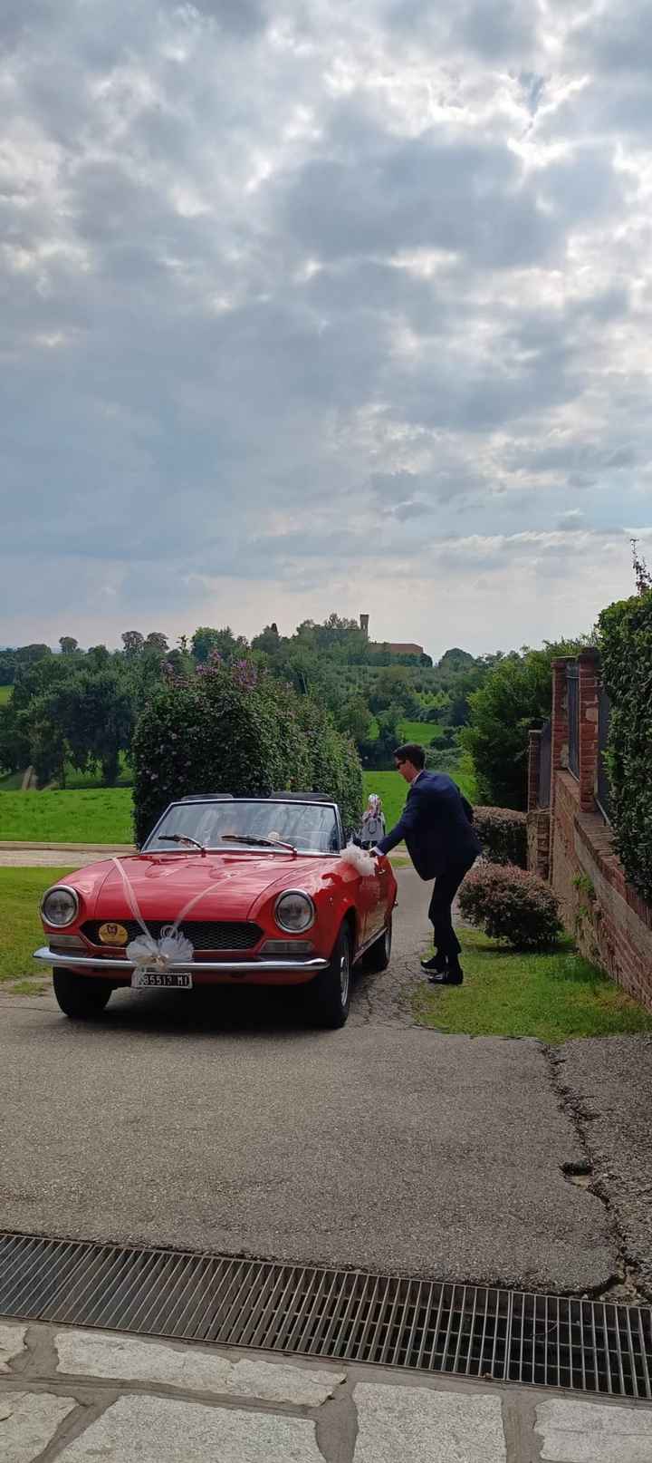 Spider o figaro? - 1