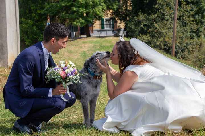 Pet sitter a nozze: cosa ne pensi? - 1