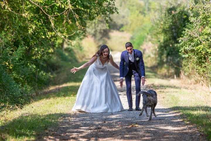 Cane al matrimonio - 3