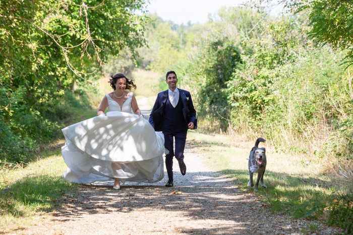 Dog sitter si o no? - 2