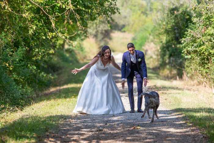 Dog sitter si o no? - 3