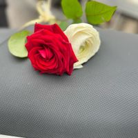 In che mese vi direte il Grande Sì? 📅 - 1