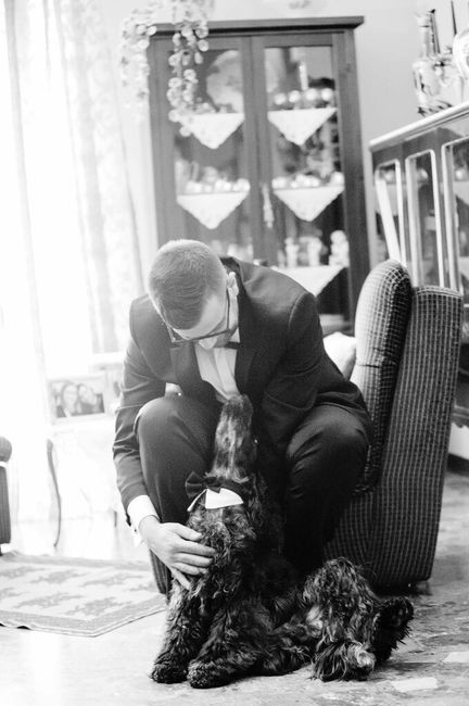 Foto con il nostro cane/gatto - 1