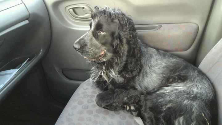 Io....luiii....e il nostrooo totÒ? - 1