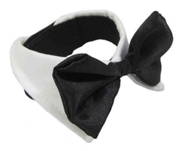 Idea x come vestire il mio pelosetto il gg delle mie nozze - 1