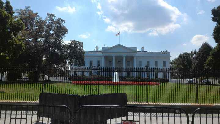 Foto viaggi di nozze - 5