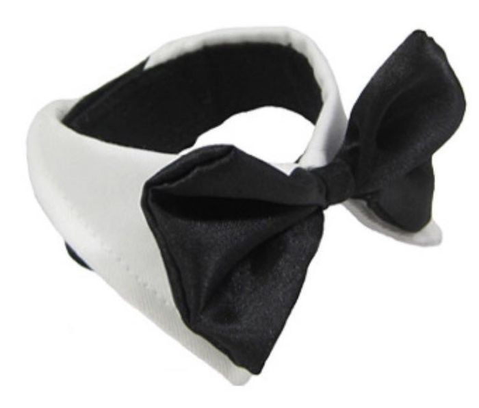 Idea x come vestire il mio pelosetto il gg delle mie nozze - 1