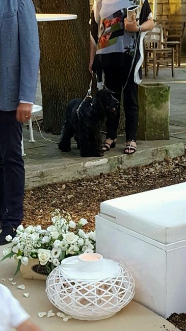 Il nostro 2 settembre!! - 4