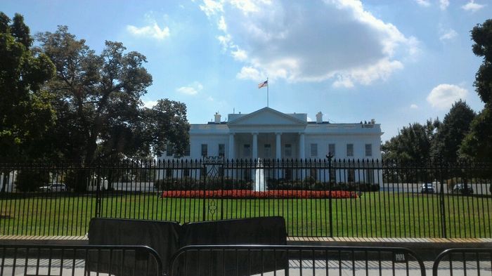 Rientro..new york+washington - 7