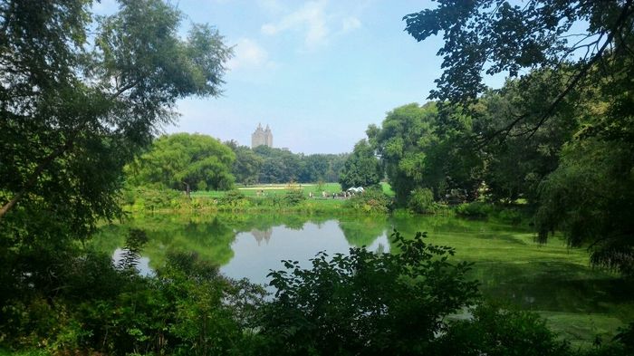 Rientro..new york+washington - 8