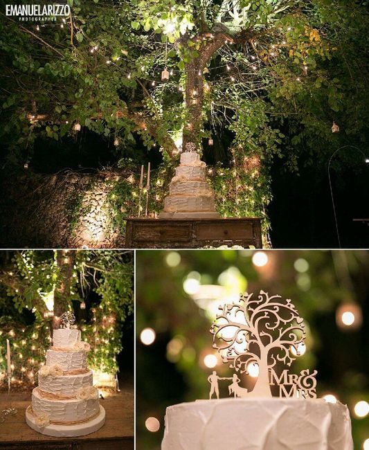 Taglio della torta: all'esterno o all'interno ? - 1