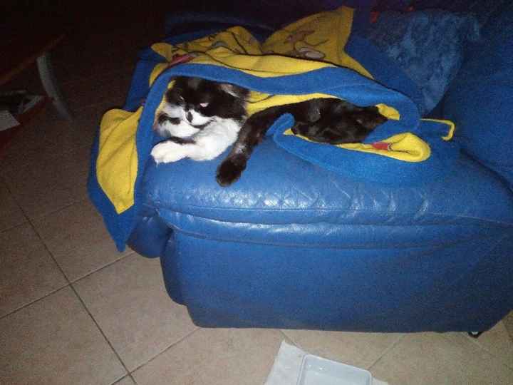 Vi presento nina! - 3