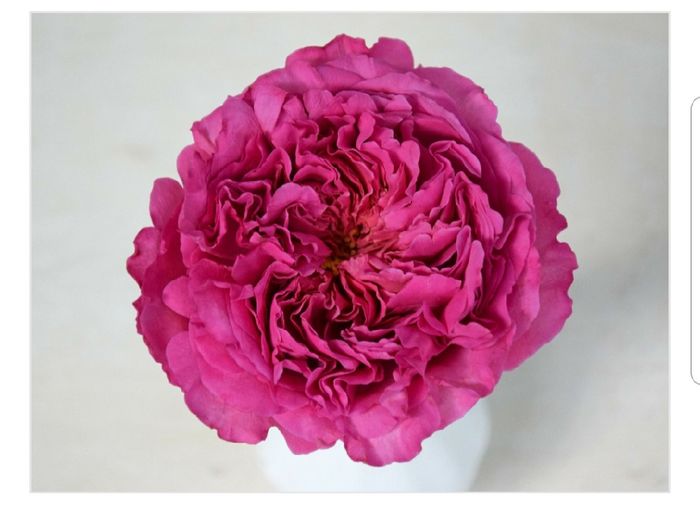Bouquet e fiori: scelti!! - 1