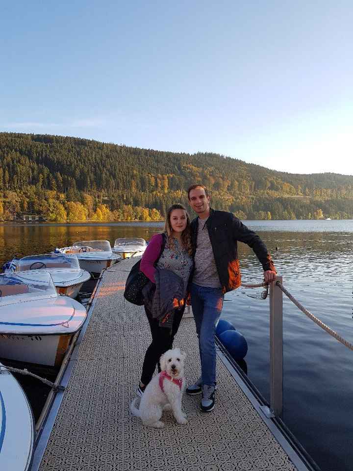 Porterete in viaggio di nozze i vostri amici a 4 zampe? 🐾 - 1