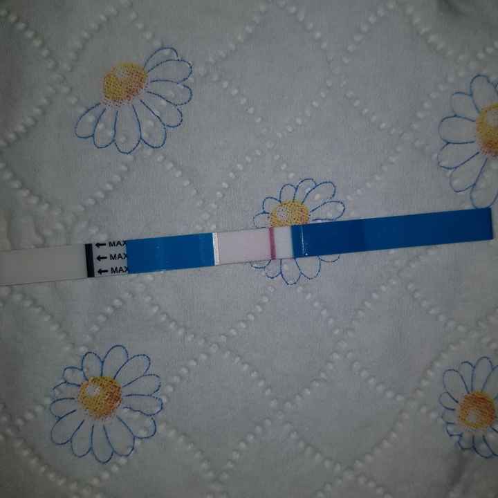 Chi non le aspetta per Novembre  2020 🍀❤️🍀❤️🍀❤️🍀❤️🍀❤️🍀❤️🍀 - 1