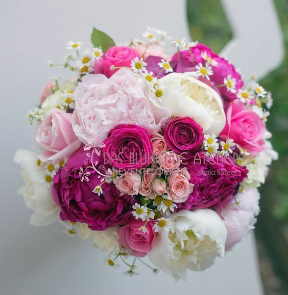  Colore matrimonio - 1