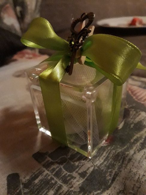 Scatoline in plexiglass - 1