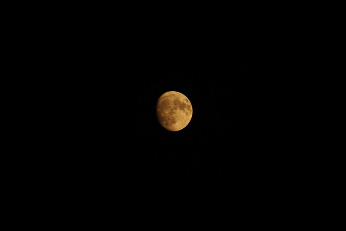 Vi auguro  una bella giornata come la nostra 306