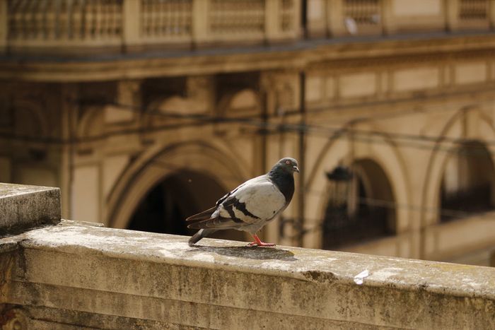 Vi auguro  una bella giornata come la nostra 253