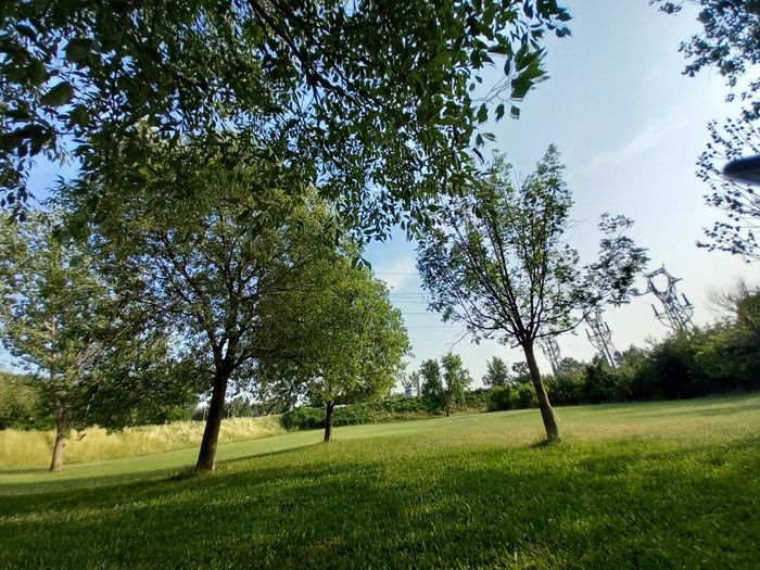 Vi auguro  una bella giornata come la nostra - 8