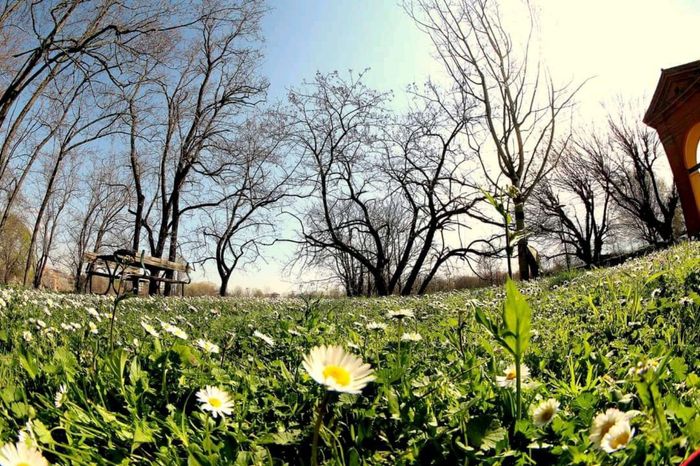 Vi auguro  una bella giornata come la nostra 181