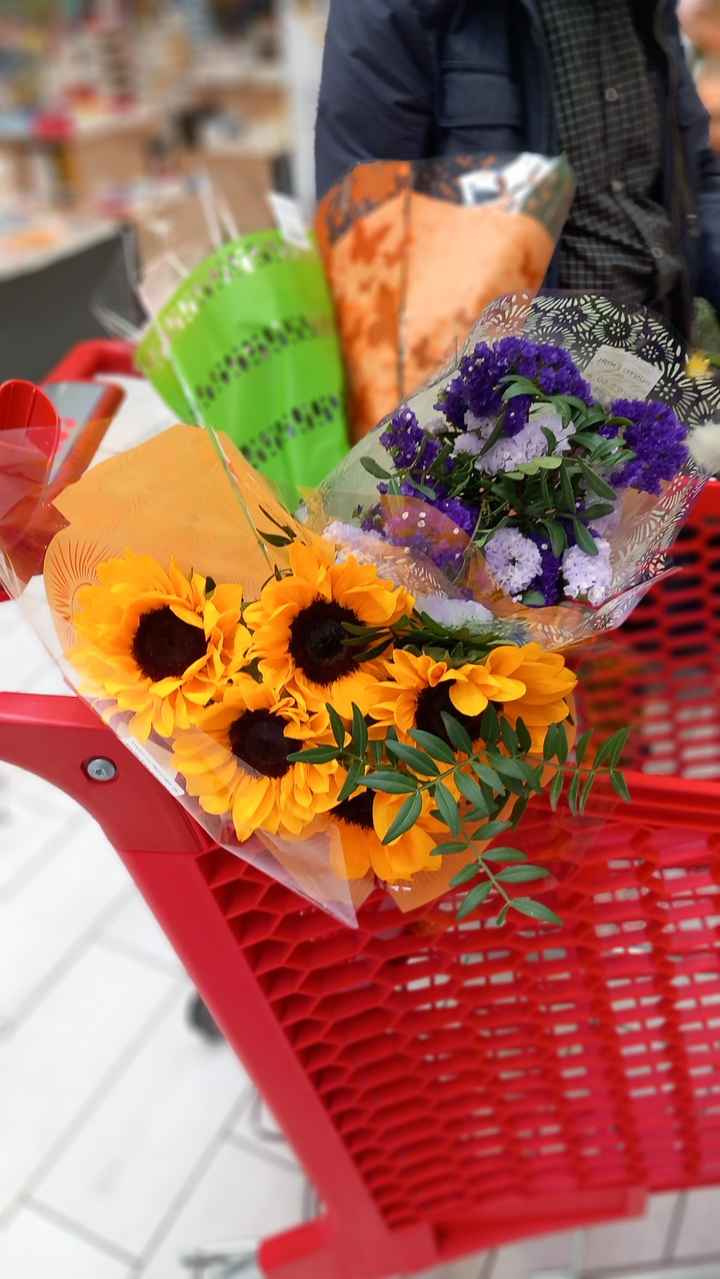 Vi auguro  una bella giornata come la nostra - 24